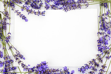 Flowers composition. Frame made of fresh lavender flowers on white background. Flat lay, top view,...