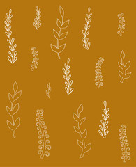 Vector set of autumn grass and flowers