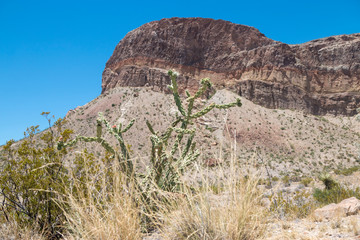 Fototapeta premium Desert landscape view of Big Bend National Park during the day in Texas.