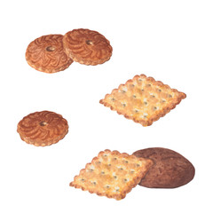 Sweet shortbread cookies. Beautiful watercolor set.