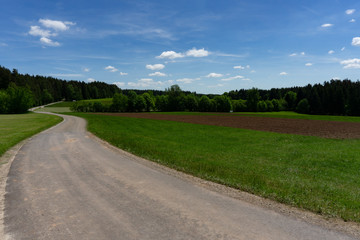 Landscape 1