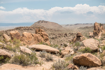 Desert landscape view of Big Bend National Park during the day in Texas.