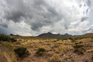 Desert landscape view of Big Bend National Park during the day in Texas.