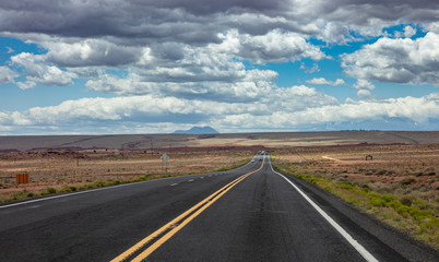 Fototapeta na wymiar Long highway in the american desert, blue cloudy sky background