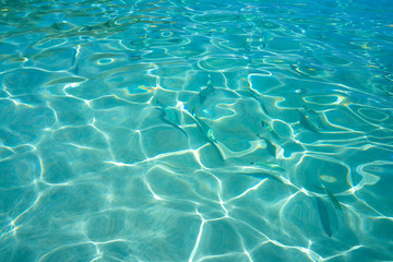 Ibiza Portinatx Arenal Petit beach in Balearics