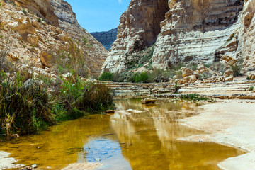 Canyon and sky reflected in water