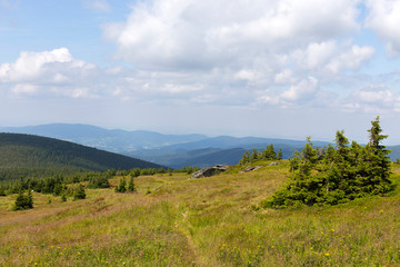 Naklejka premium Mountain Jesenik in Moravia, very green and clear Nature with cleanest Air in central Europe, Czech Republic