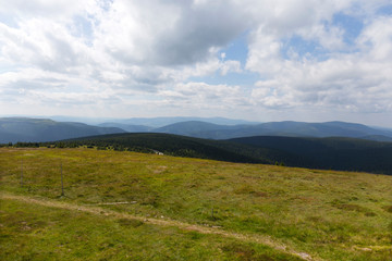 Naklejka premium Mountain Jesenik in Moravia, very green and clear Nature with cleanest Air in central Europe, Czech Republic