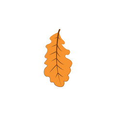 autumn yellow color leaf illustration