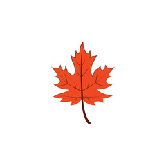 Fototapeta premium autumn red color leaf illustration