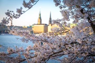 Hamburger Alster © Ben.Photoholic