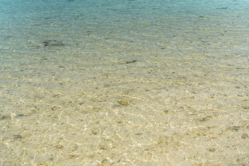 竹富島のビーチ