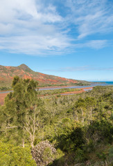 Fototapeta na wymiar tropical rainforest above Pirogues River estuary on the Western coast of New Caledonia