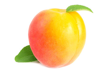 apricot fruits with green leaf isolated on white background