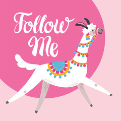 Illustration with llama, composition on pink vector doodle elements. Greeting card with Alpaca. Follow me