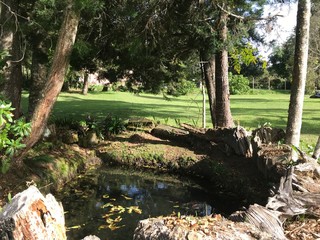 waterfall in the park
