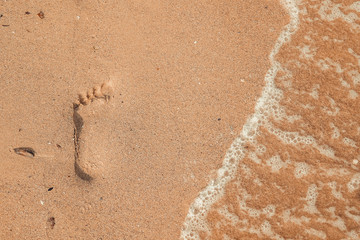 close up of footprint on golden sand beach 