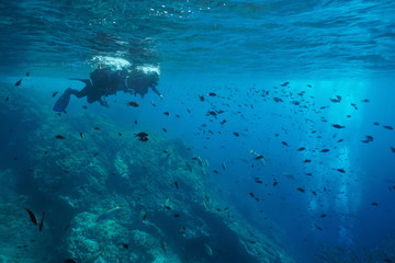 Fototapeta na wymiar Mediterranean sea scuba diving, couple of divers on water surface look at fish shoal underwater, Costa Brava, Spain