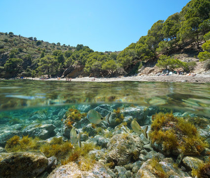 Spain Mediterranean coast, beach with tourists in summer and fish with rocks underwater, split view above and below sea surface, Costa Brava, Roses, Cala Rostella, Catalonia