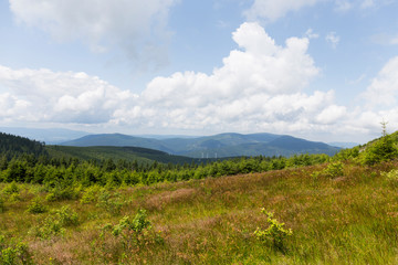 Wind power Plant in the Mountain Jesenik, Moravia, very green and clear Nature with cleanest Air in central Europe, Czech Republic
