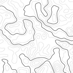 Topographic map contour background. Line topographic map contour background. Art design contour background. Grid map. Vector illustration.