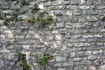 Medieval stone wall in Paris