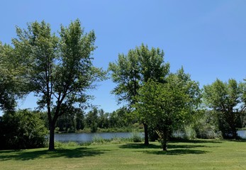 Summer Day in the Park