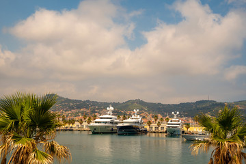 High angle view of the harbor of the sea town with moored luxury yachts and top of palm trees in the foreground in summer, Porto Maurizio, Imperia, Liguria, Italy