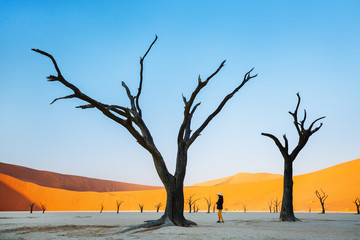 Young girl in Deadvlei Namibia