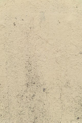 neutral color textured concrete wall