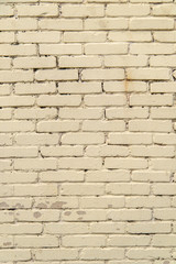 textured, expressive wall of light-colored bricks