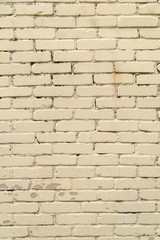 textured, expressive wall of light-colored bricks