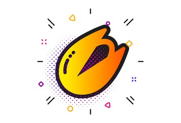 Tasty nuts sign. Halftone circles pattern. Pistachio nut icon. Vegan food symbol. Classic flat pistachio nut icon. Vector