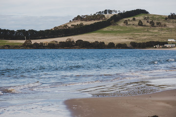 Fototapeta na wymiar sunny Australian beach in Cremorne, Tasmania