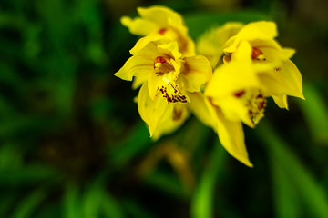 Some relaxing things of nature.