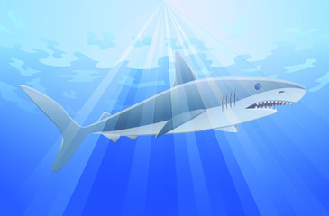 Small shark swimming underwater vector