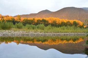 autumn landscape with lake