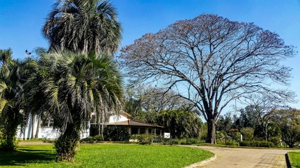Obraz premium Jardim Botânico
