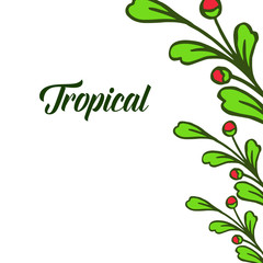 Decorative of card tropical, pattern green leaves flower frame. Vector