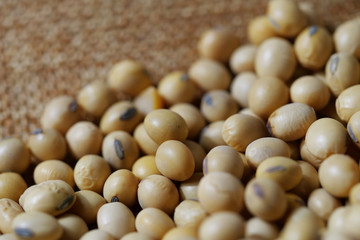 Close-up of soybean, dried soybeans