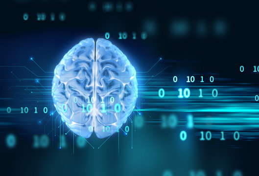 3d rendering of human  brain on programming language background