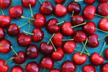 fresh cherries  on blue wooden background