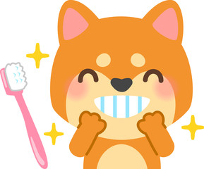 きれいな歯の犬と歯ブラシ