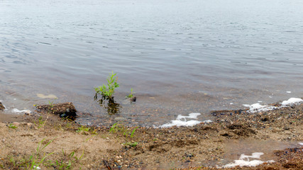 Panorama stone the shores of the North river with rocks grass and foaming waves.