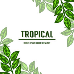 Card template tropical, art of green leaves frame, on white background. Vector