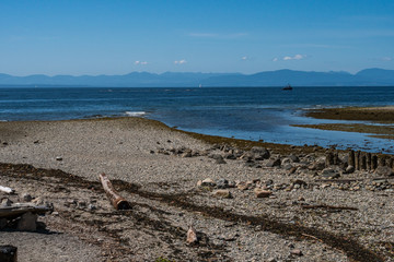 dry rocky coast covered with green algae and few Rotten wooden piers with a shallow water way run into the ocean under blue sky on a sunny day