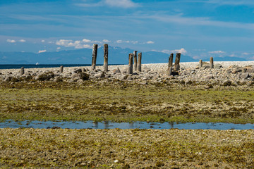 dry rocky coast covered with green algae and few Rotten wooden piers with a shallow water way run into the ocean under blue sky on a sunny day