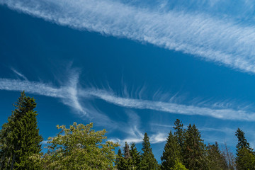 unique cloud formation under blue sky above the green forest on a sunny day