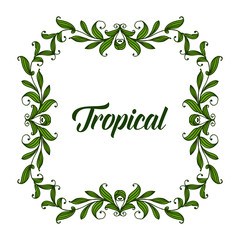 Greeting card design tropical with flower frame and green foliage. Vector