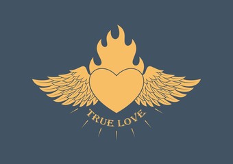 Color illustration of a heart in fire and wings with text. Vector illustration on the theme of love
